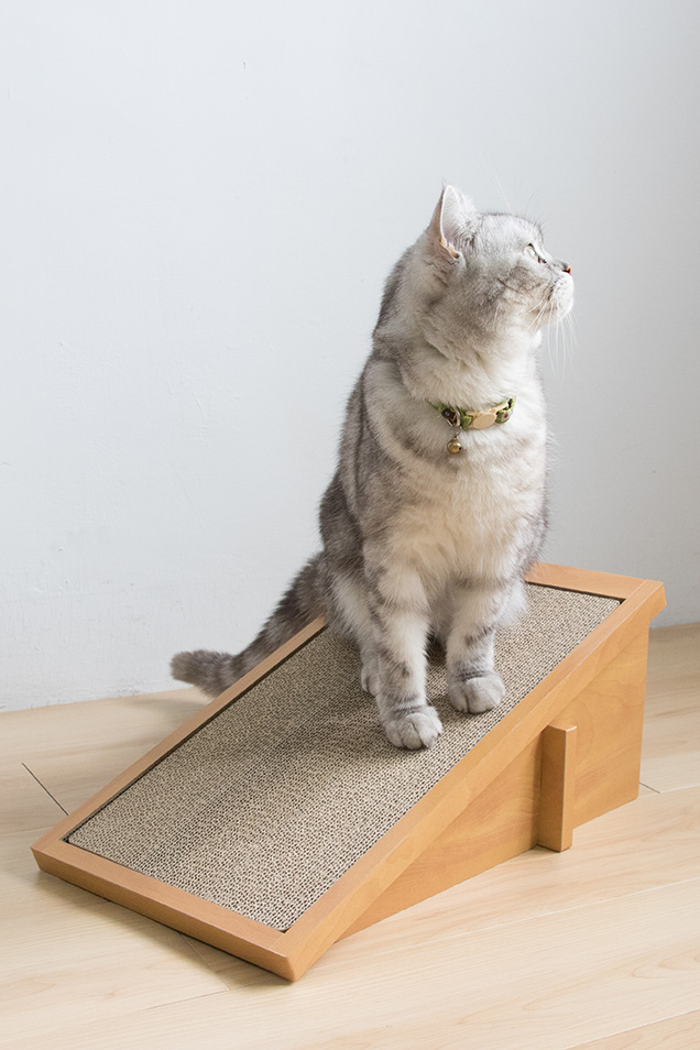 cat scratcher ramp