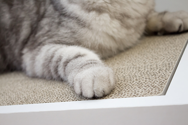 high quality corrugated paper scratcher